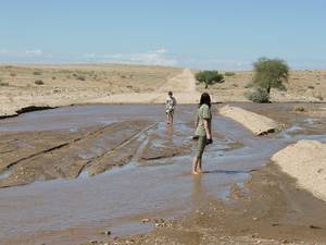 Ein Revier. Besser erst mal durchlaufen bevor das Auto festsitzt...  NAMIBIA - www.outeniqua.de